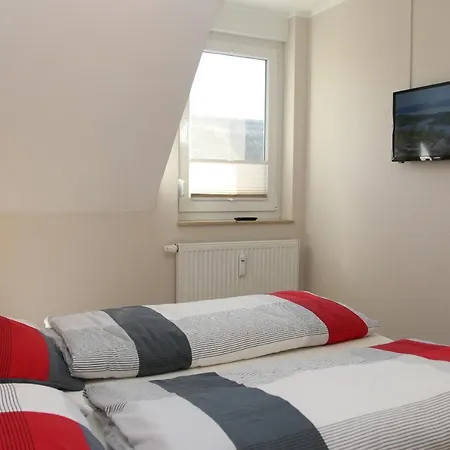 Strandaster * Ostseeheilbad Zingst