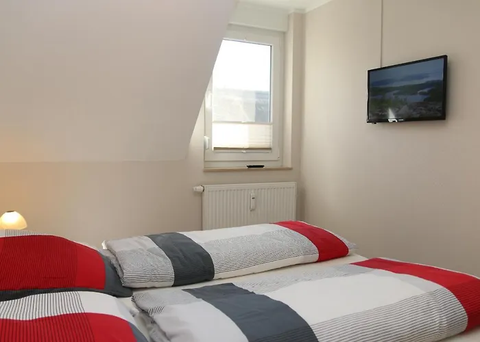 Strandaster * Ostseeheilbad Zingst