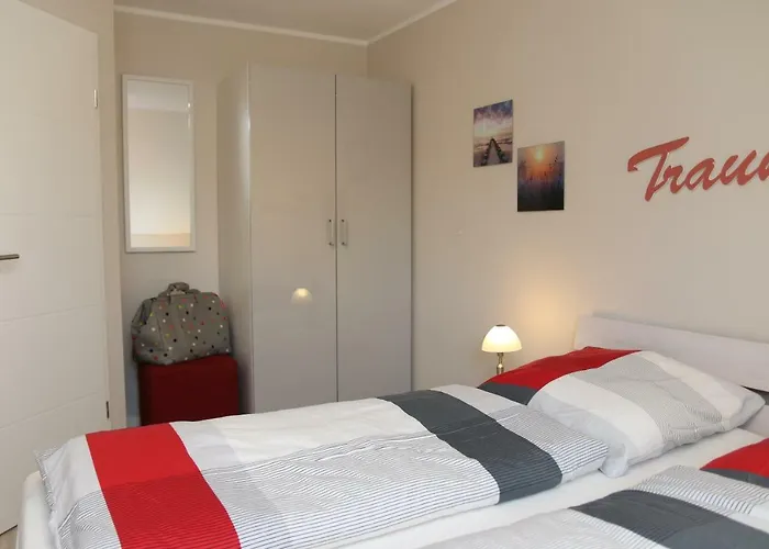 Strandaster 青斯特